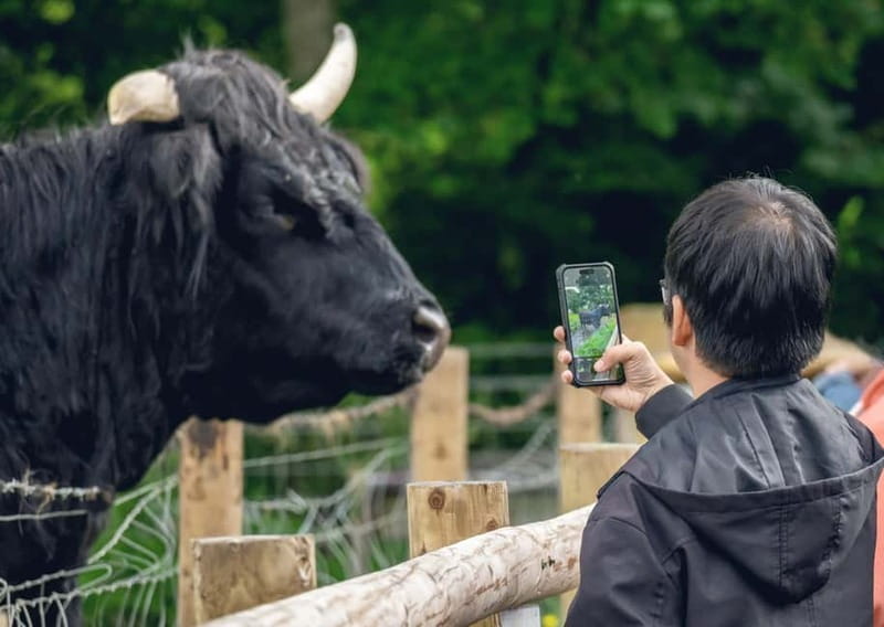 From Edinburgh: Stirling Castle, Kelpies and Loch Lomond - Loch Lomond and Balloch: choose your pace