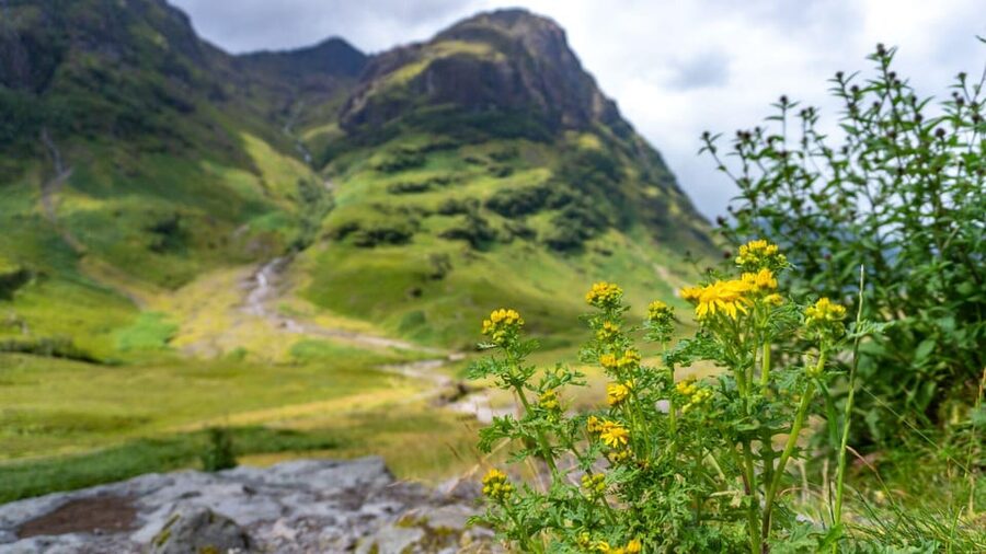 From Glasgow: Loch Ness, Glencoe and Scottish Highlands Trip - The road to Ben Nevis and the Commando Memorial