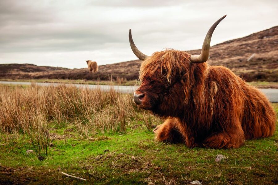 From Inverness: 3-Day Orkney Explorer - Accommodation, meals, and what to pack