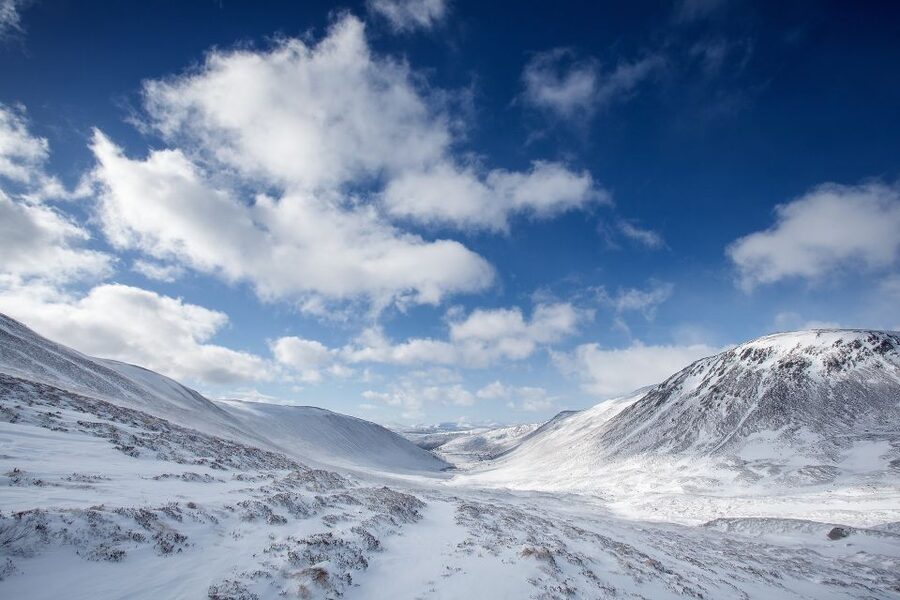 From Inverness: Cairngorms National Park and Whisky Tour - A full day from Inverness to the Cairngorms