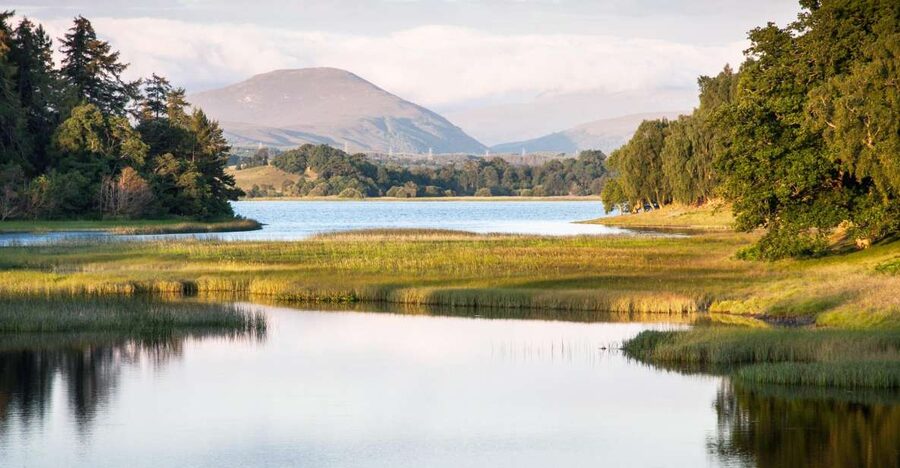 From Inverness: Cairngorms National Park and Whisky Tour - Loch Morlich, pine woods, and a sandy beach