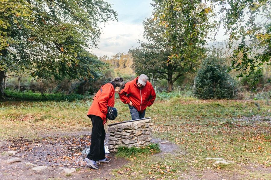 From Inverness: Glen Affric, Culloden, and Clava Cairns Tour - Meeting the guide in Inverness