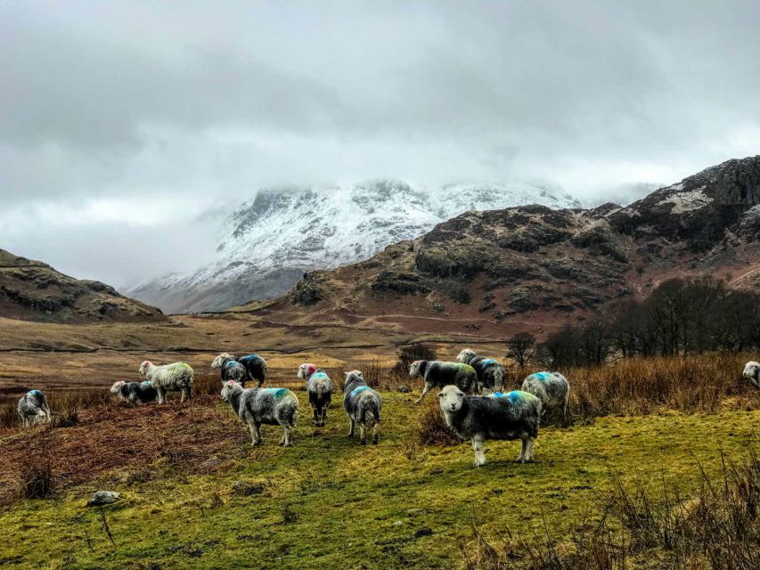 From Liverpool: Lake District Sightseeing Adventure Day Trip - Who should book this day trip?