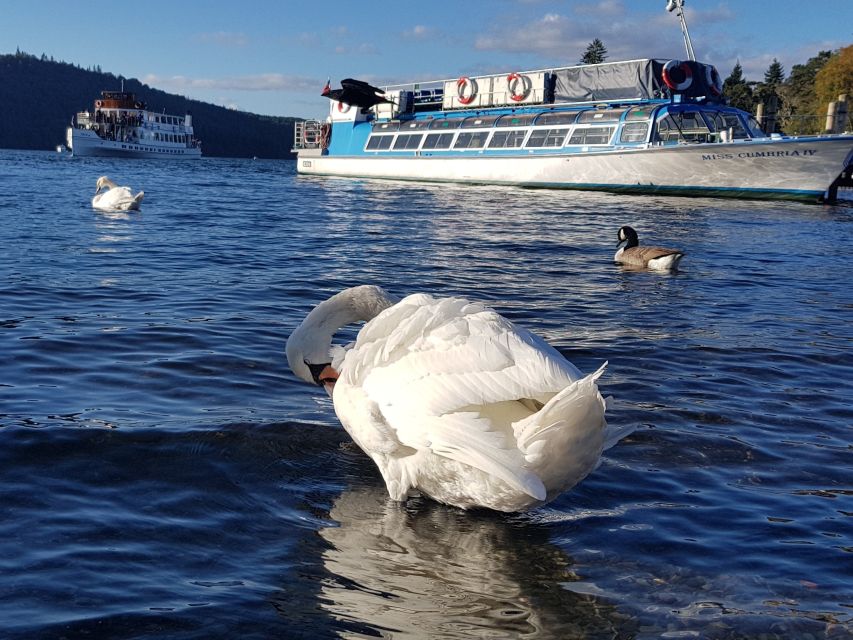 From Liverpool: Lake District Sightseeing Adventure Day Trip - Windermere: a short cruise with a big view