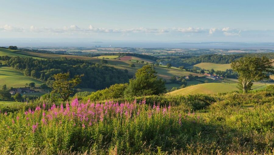 From London: Canterbury & White Cliffs of Dover Tour - Why this Kent day trip works from London