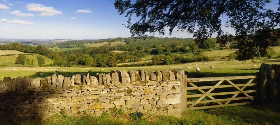 From London: Full-Day Cotswolds Small-Group Tour - Who should book this tour