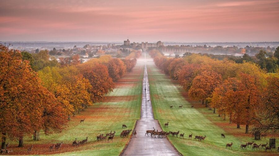 From London: Stonehenge, Windsor and Salisbury Guided Tour - Time, transport, and the real pace