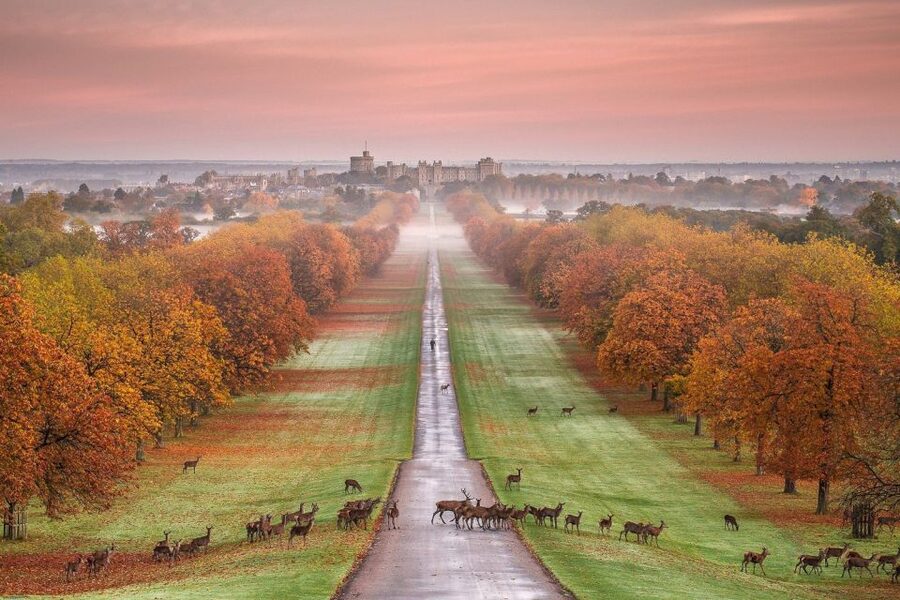 From London: Windsor Castle Afternoon Sightseeing Tour - How the two-hour castle visit works
