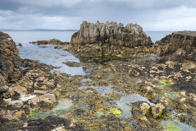 Game of Thrones and Giant's Causeway Full-Day Tour from Belfast - A full day from Belfast to the Causeway Coast