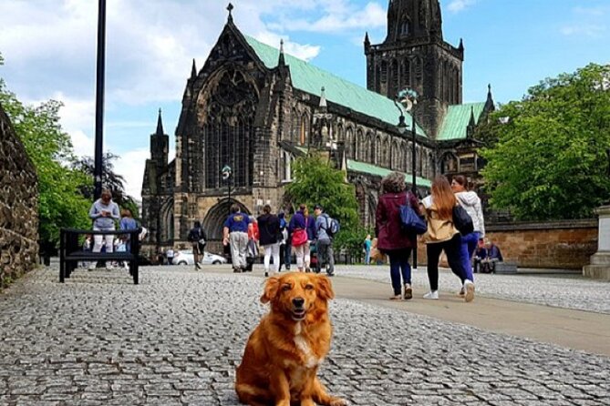 Gander Walking Tours in Glasgow - Why this Glasgow walk feels different