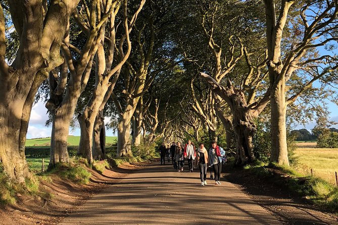 Giants Causeway, Rope Bridge, Carrickfergus Castle and Dark Hedges Tour - Bushmills: whiskey stop, not distillery tour