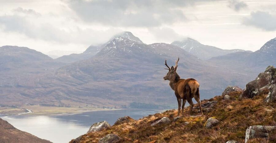 Inverness: Applecross, Loch Carron & Wild Highlands Day Tour - Lochcarron and the first look at the western Highlands