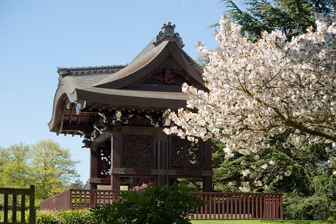 Kew Gardens Entrance Ticket - Free guided walks or your own route
