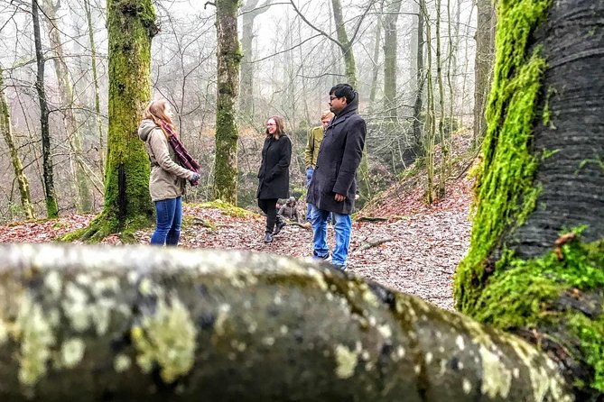 Lake District Adventure Sightseeing Day Trip from Liverpool - Is $81.95 good value?
