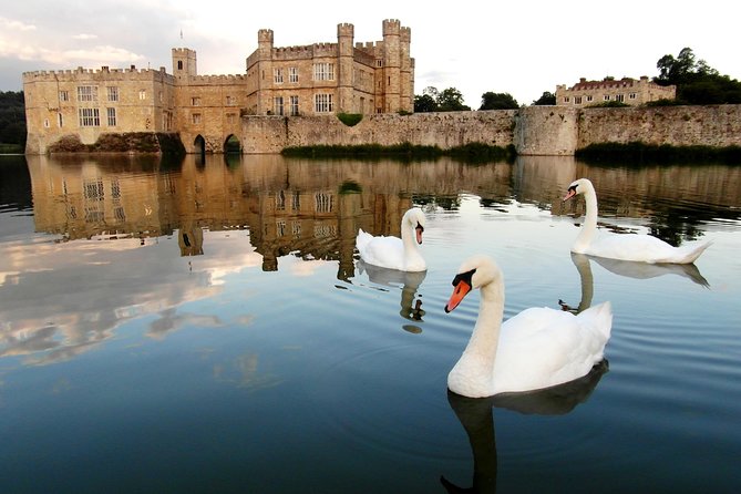 Leeds Castle, Canterbury, Dover & Greenwich Cruise from London - The Thames ride: scenic finish or water taxi?