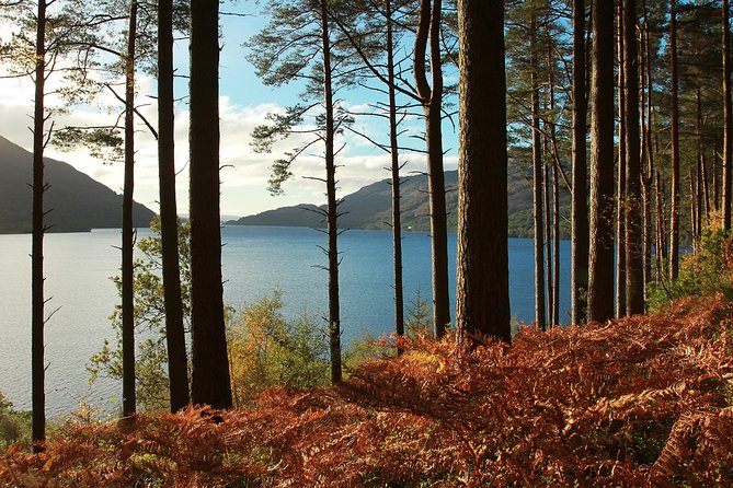 Loch Lomond, Kelpies & Stirling Castle Tour Including Admission - Stirling Castle and Scotland’s power struggles