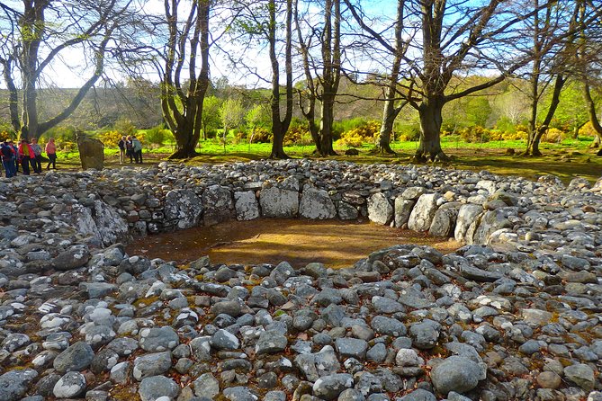 Loch Ness & Culloden Battlefield Private Tour from Inverness - Highland cows and alpacas at Robertson’s