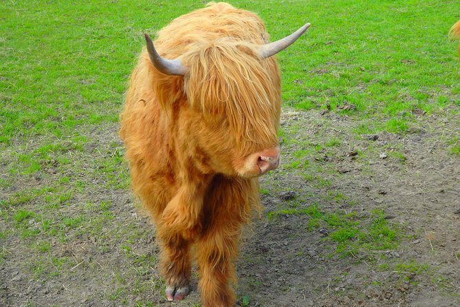 Loch Ness & Culloden Battlefield Private Tour from Inverness - Glen Ord whisky, with tasting at your own cost