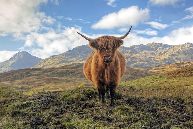 Loch Ness, Glencoe & the Highlands Guided Day Tour from Edinburgh - The driver-guide can make or break the day