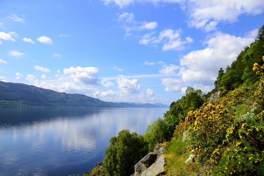 Loch Ness: Urquhart Castle Round-Trip Cruise - How much value do you get for $30?