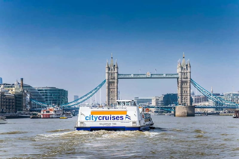 London: Fully Flexible River Thames Sightseeing Pass - Should you book the Thames sightseeing pass?