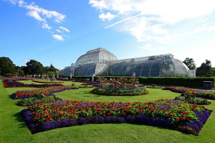 London: Kew Gardens Admission Ticket - The Hive and Kew’s scientific side