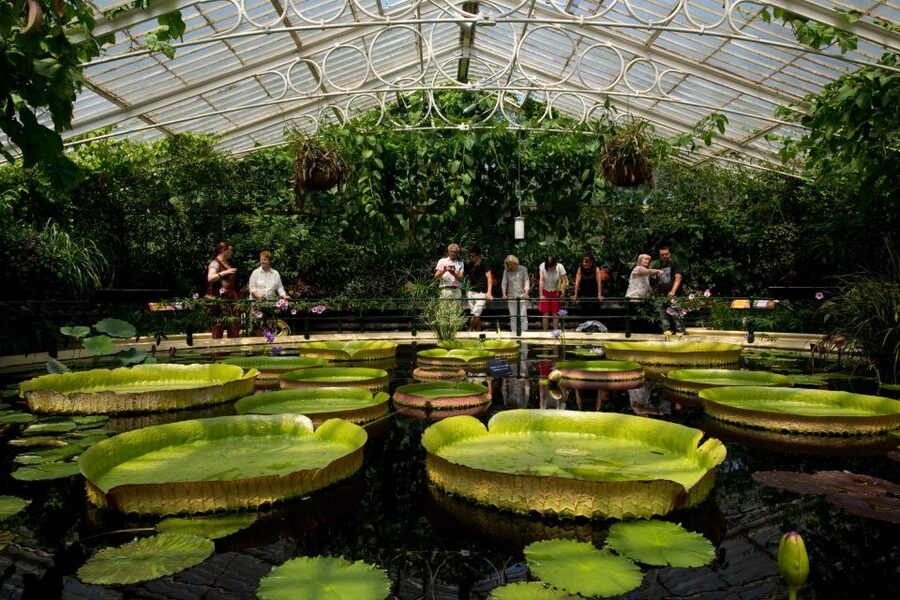 London: Kew Gardens Admission Ticket - Art, seasonal displays, and unexpected details