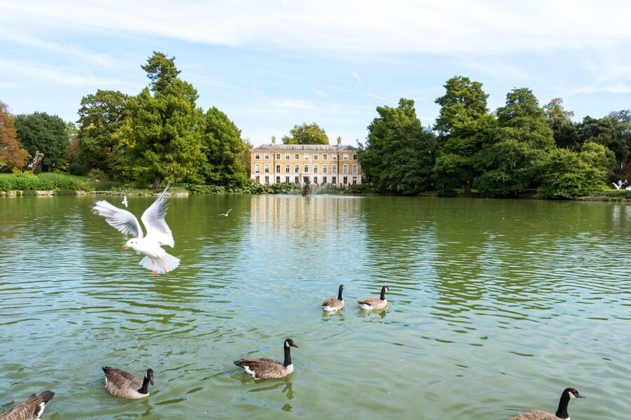London: Kew Gardens Admission Ticket - Food, picnics, and the cost of a full day