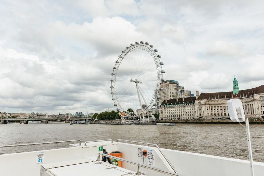 London: London Eye, River Cruise, & Hop-on Hop-off Bus Tour - Buckingham Palace, Westminster, and the royal route