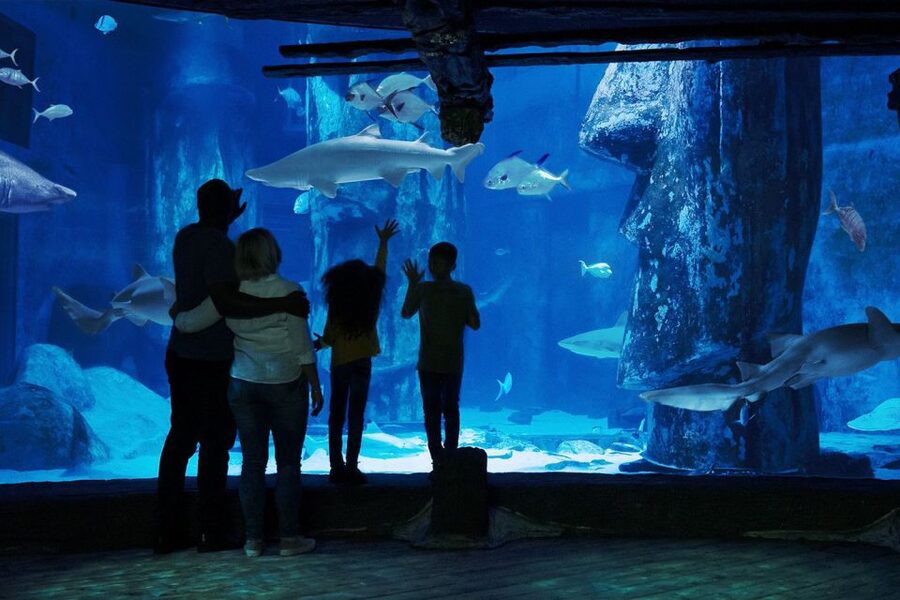 London: Madame Tussauds, London Eye & SEA LIFE Combo Ticket - Is $72 good value?