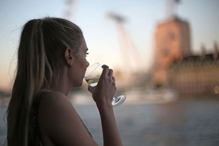 London: River Thames Evening Cruise with Bubbly and Canapés - Canapés, bubbly, and the food question