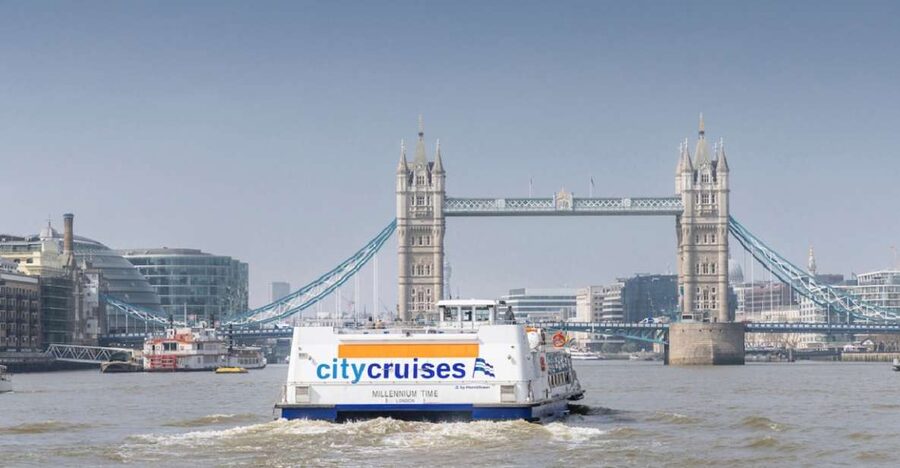 London: River Thames Hop-On Hop-Off Sightseeing Cruise - Seasonal touches and family appeal