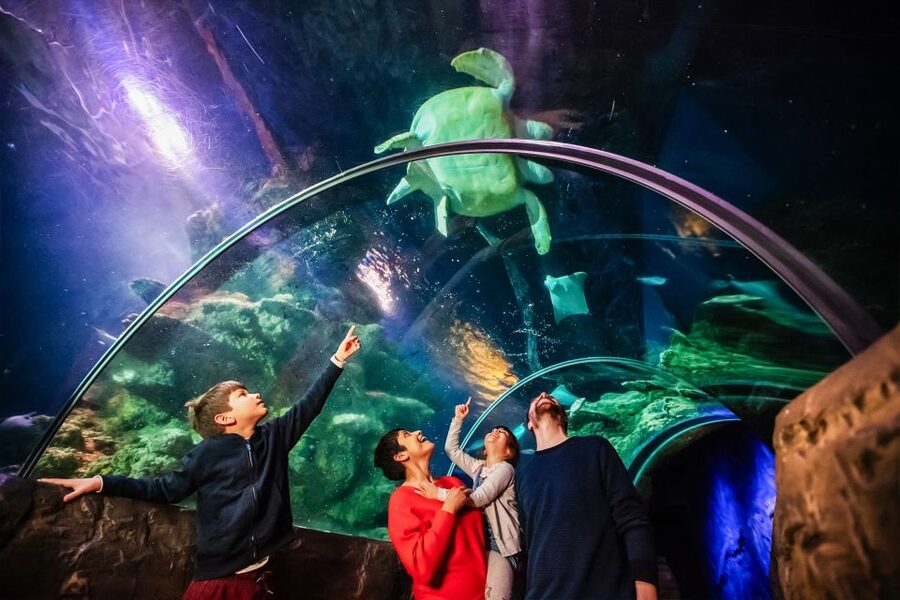 London: SEA LIFE Entry Ticket - Practical points for a smooth visit