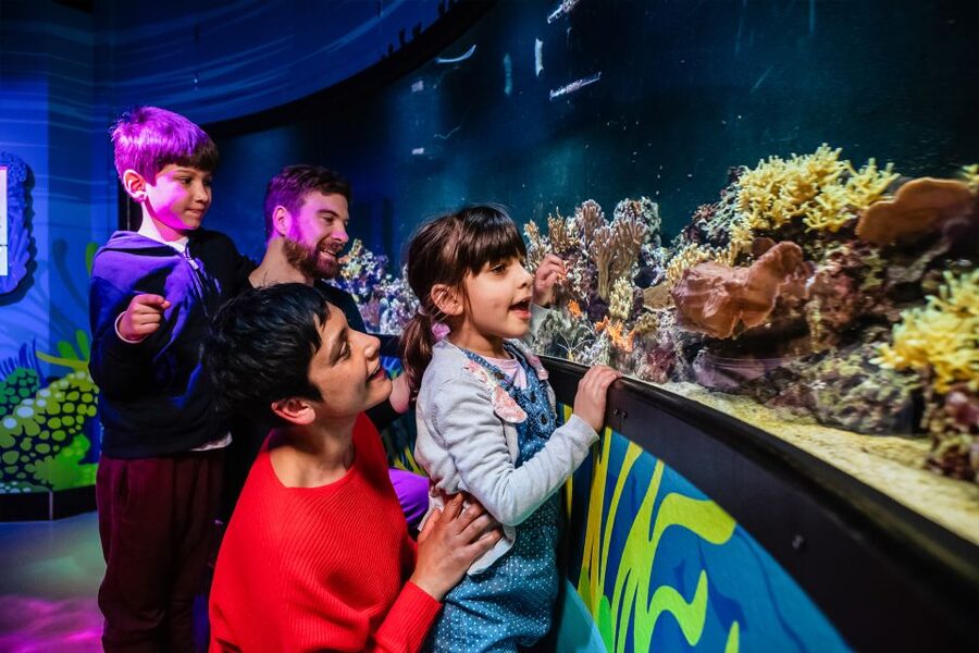 London: SEA LIFE Entry Ticket - Rainforest Adventure goes beyond fish