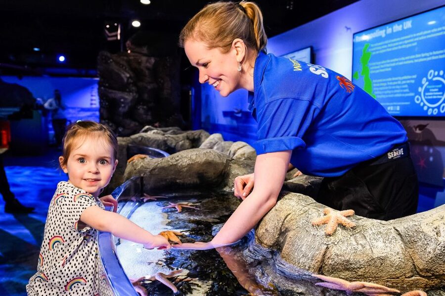 London: SEA LIFE Entry Ticket - Tropical fish, green turtles, and the first big tanks