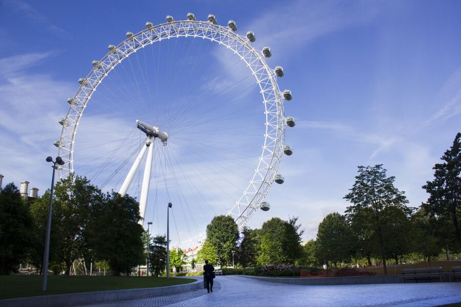 London: SEA LIFE & London Eye Combo Ticket - Coral Kingdom, rainforest creatures, and Ocean Invaders