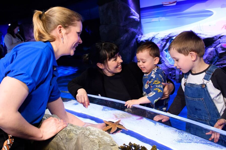 London: SEA LIFE & London Eye Combo Ticket - Who will enjoy this combination most
