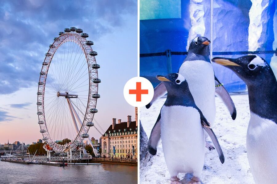 London: SEA LIFE & London Eye Combo Ticket - Starting inside SEA LIFE London
