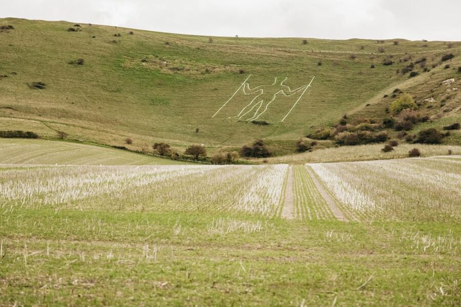 London: South Downs White Cliffs Day Trip with Train Tickets - Why this South Downs day trip works so well