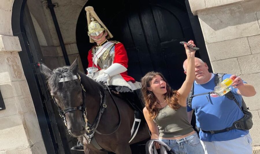 London: Westminster and Changing of the Guard Tour - Key points to know before booking