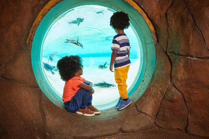 London Zoo Entry Ticket - Finding the entrance and getting around