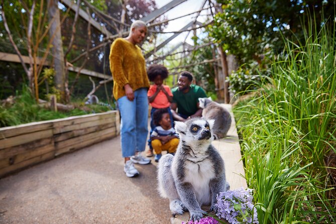 London Zoo: Entry Ticket - Tiger Territory explains more than the stripes