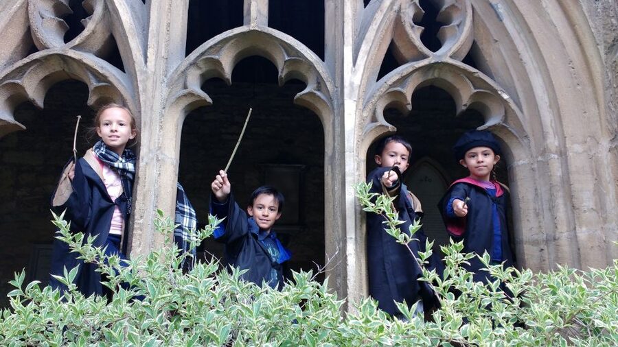 Oxford: Harry Potter Insights Divinity School Group Tour - Practical details before you book