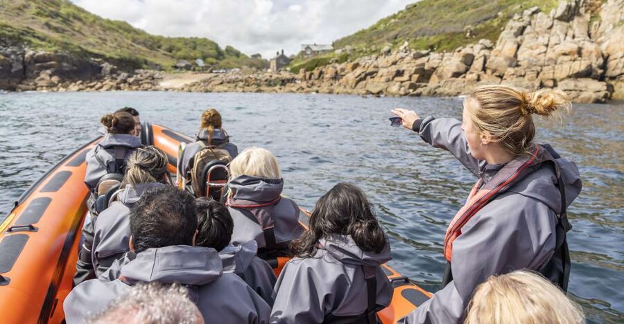 Penzance: Land's End Boat Tour with Wildlife Guides - Offshore wildlife: what you may actually see