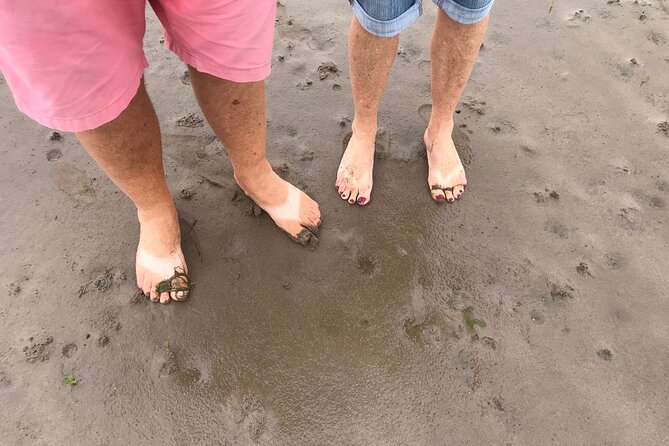 Pilgrims' Path walk across the sands to Holy Island - Key points before you book