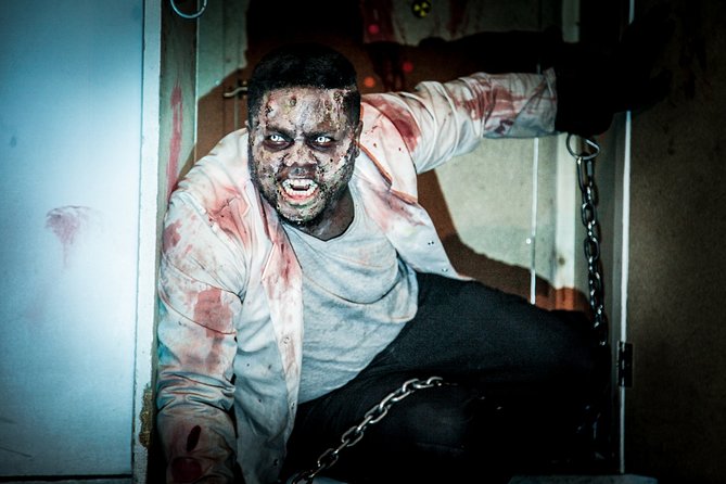 Private Escape Room with a Zombie in London - What the mixed feedback tells you