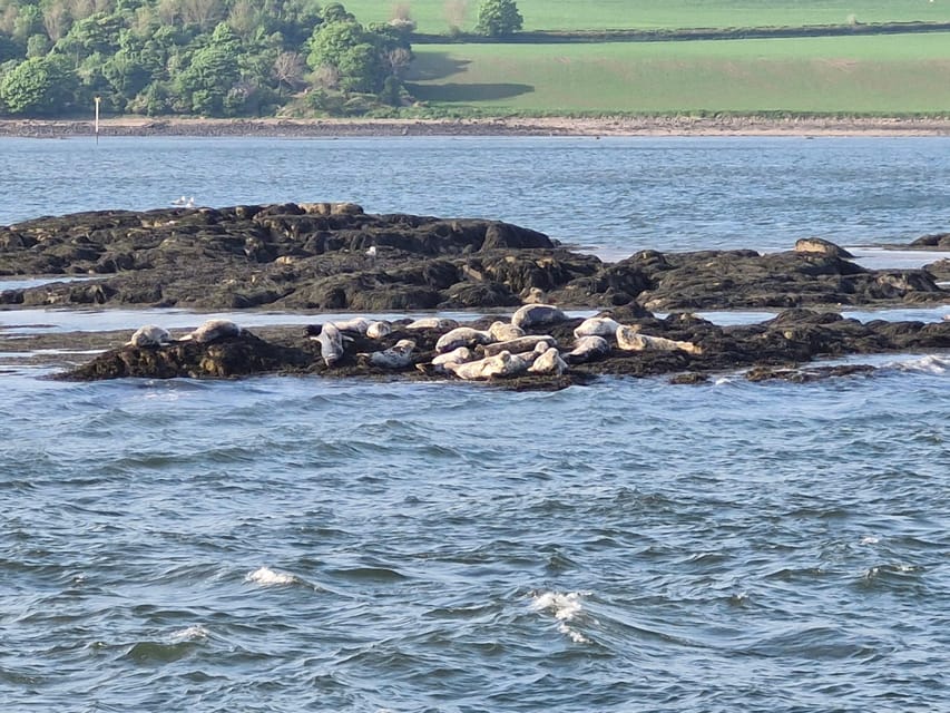 Queensferry: Sightseeing Cruise to Inchcolm Island - Exploring Inchcolm Abbey in 1.5 hours