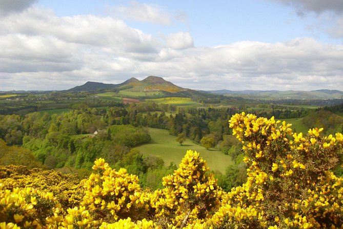 Rosslyn Chapel and Scottish Borders Small-Group Day Tour from Edinburgh - What the Mercedes mini-coach adds
