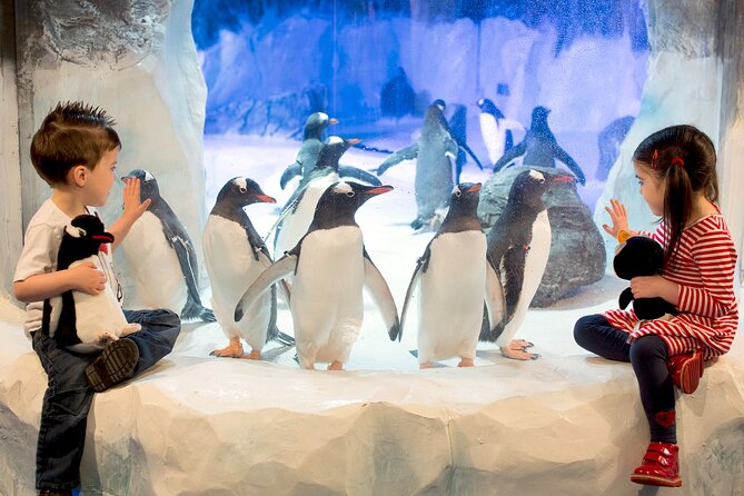 SEA LIFE Birmingham Admission Ticket - The 360-degree Ocean Tunnel gives the visit its focus