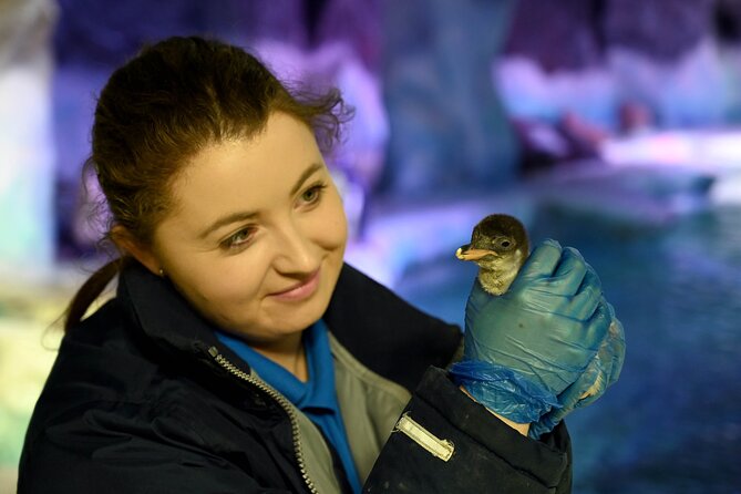 SEA LIFE Birmingham Admission Ticket - What the two-hour visit really means